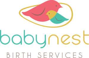 Portland oregon and vancouver washington doula agency Baby Nest logo with words and birds
