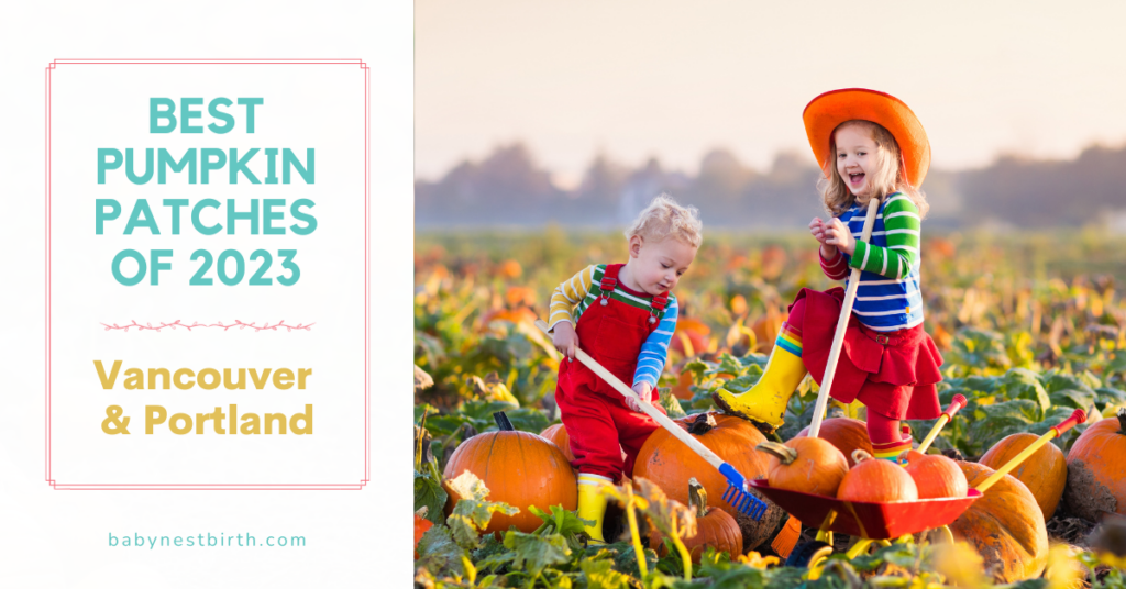 Vancouver and Portland Pumpkin Patch