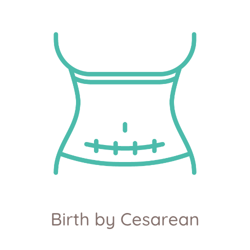 Postpartum Doula Vancouver